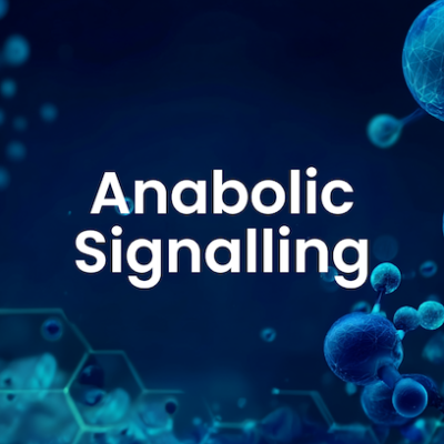 Anabolic Signalling