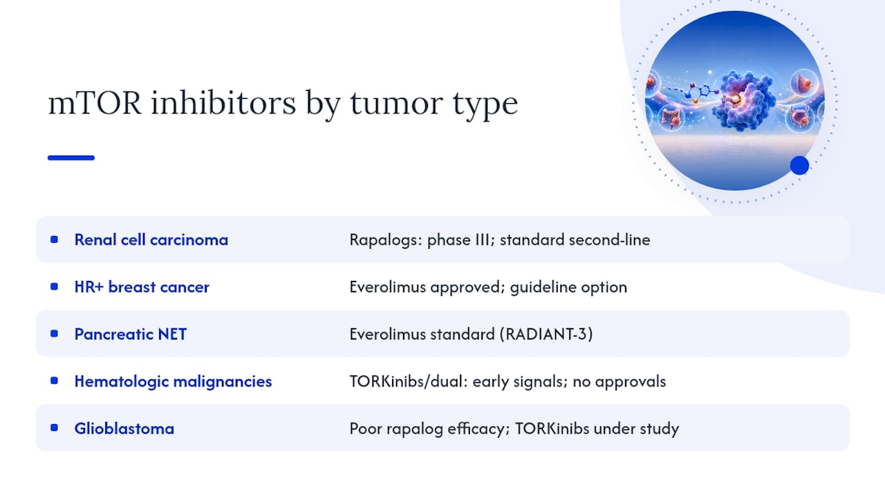 How different mTOR inhibitor classes compare across cancer types — overview diagram
