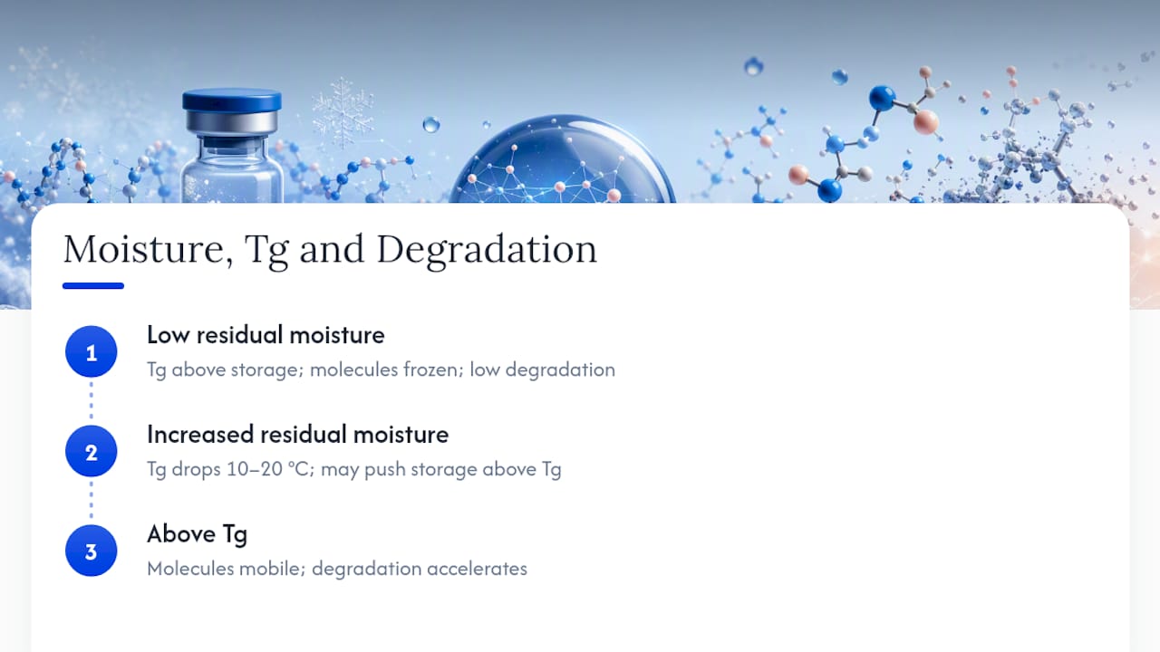 Diagram of moisture impact on glass transition temperature and peptide stability