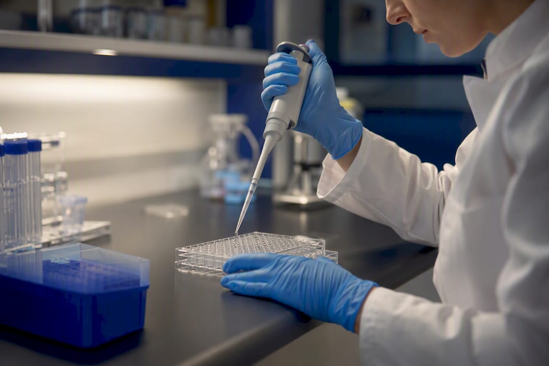 Pipetting sample into cell culture plate
