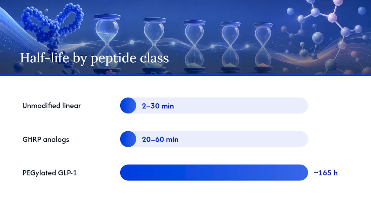 Peptide Half-Life Quick-Reference Chart By Class — overview diagram